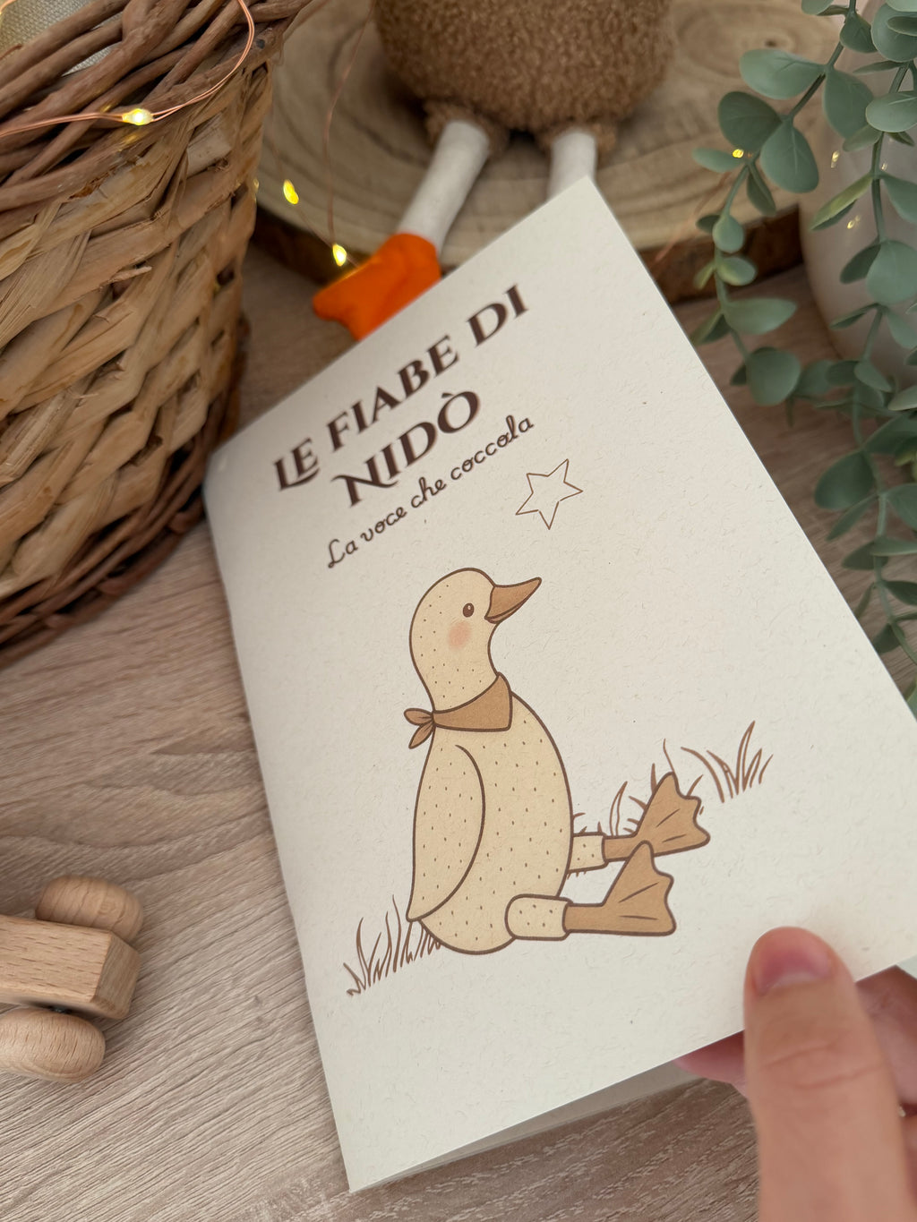 Le Livre des Contes de Fées Nidò - Édition 2025