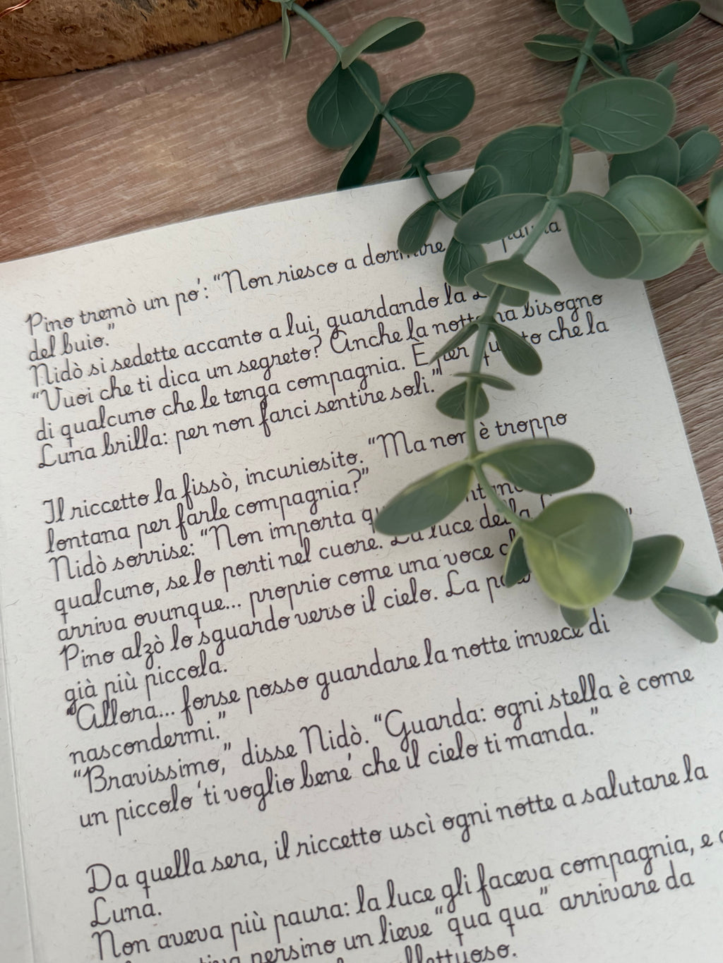 Le Livre des Contes de Fées Nidò - Édition 2025