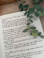 Le Livre des Contes de Fées Nidò - Édition 2025