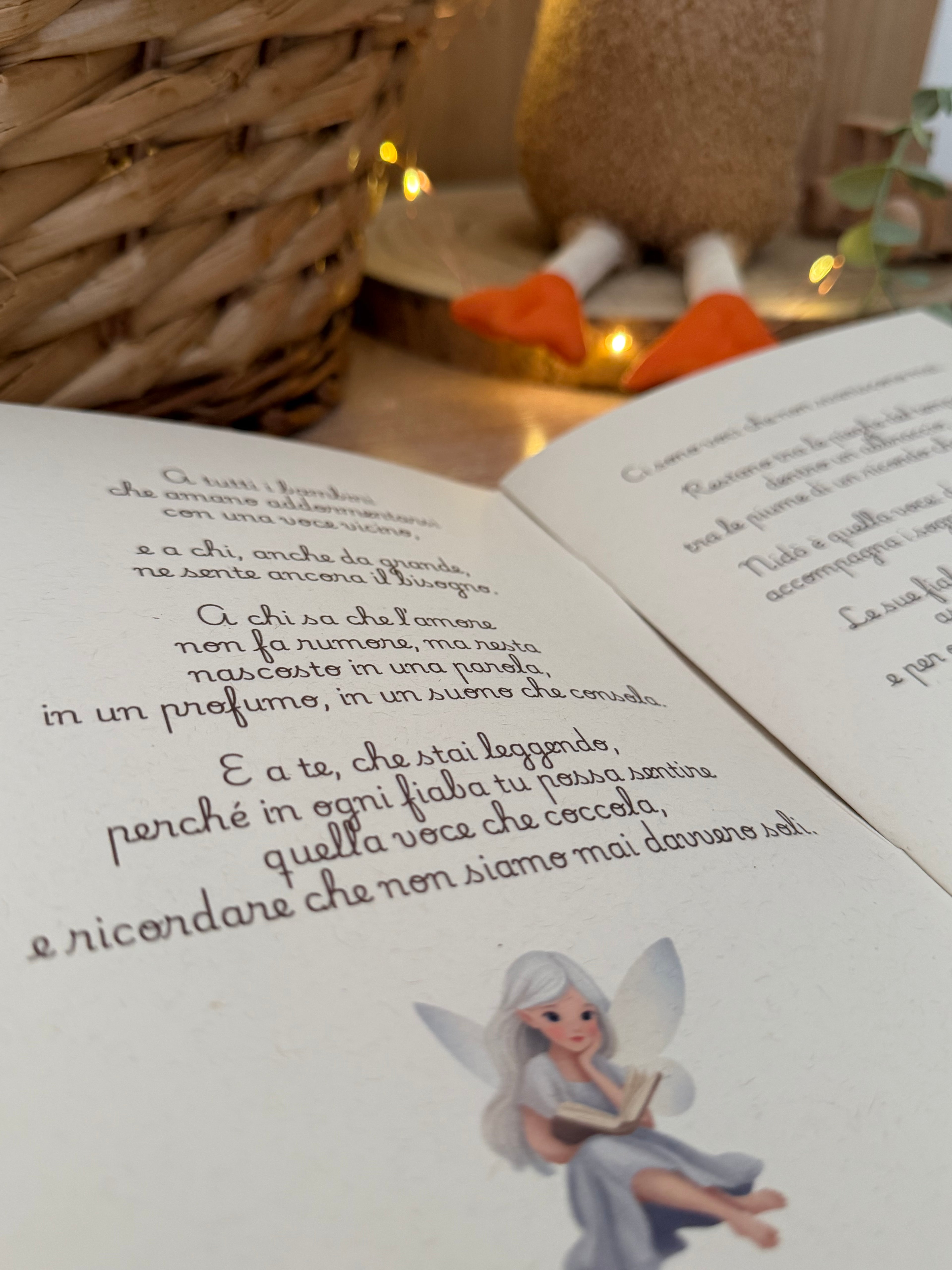 Le Livre des Contes de Fées Nidò - Édition 2025